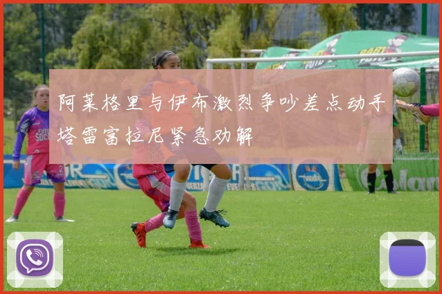 阿莱格里与伊布激烈争吵差点动手塔雷富拉尼紧急劝解